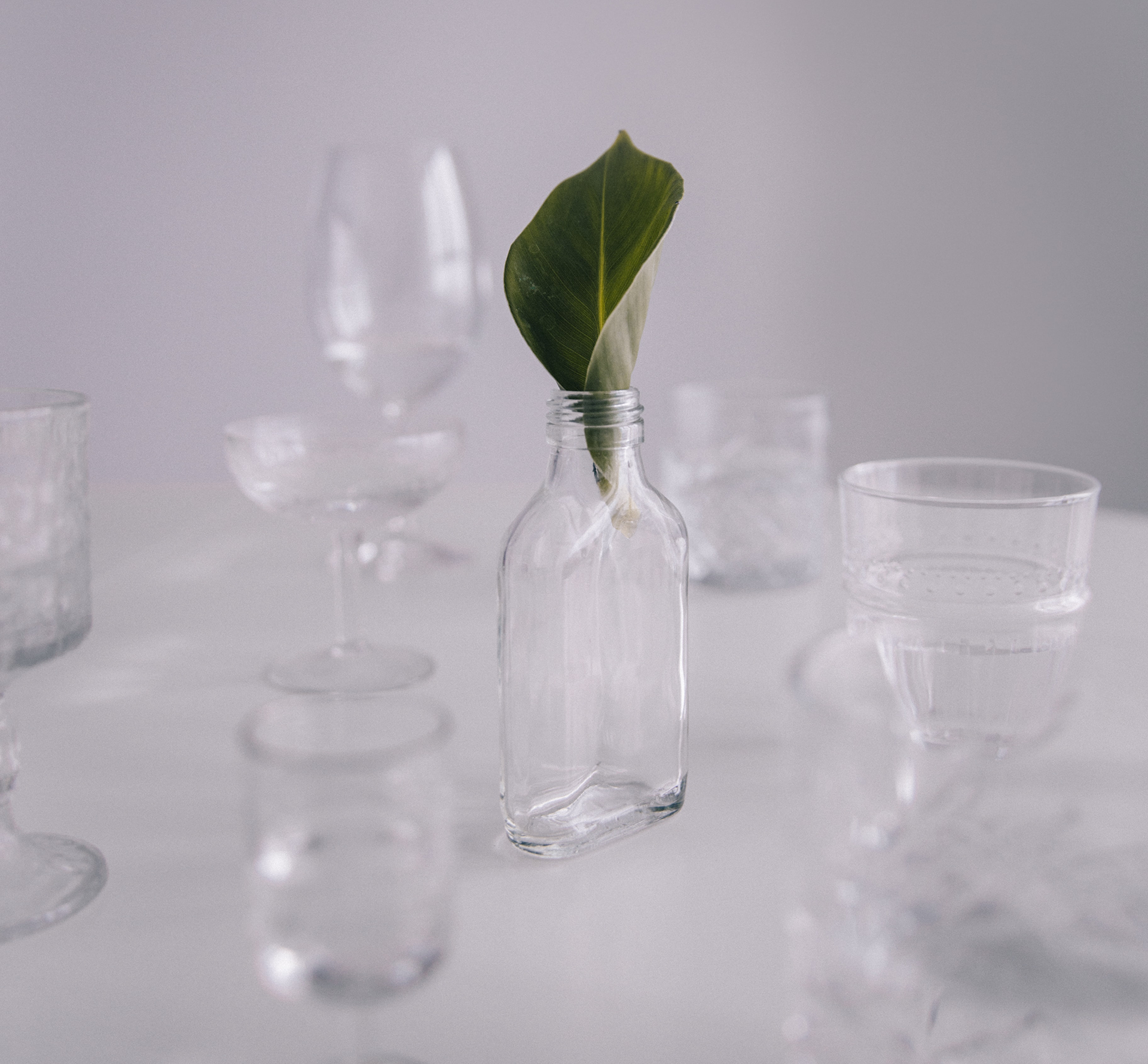 A leaf curled into a glass bottle