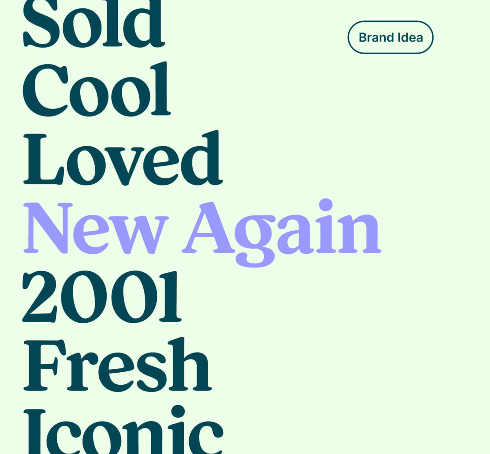 Screenshot of Vinted online shop text graphics